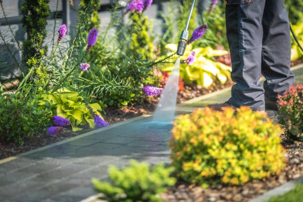 Belle, WV Pressure Washing Services Company