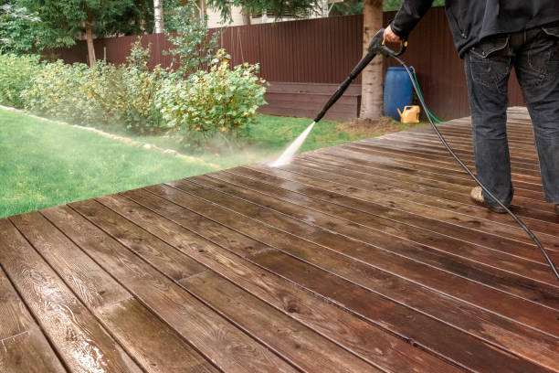 Best Building Exterior Washing  in Belle, WV