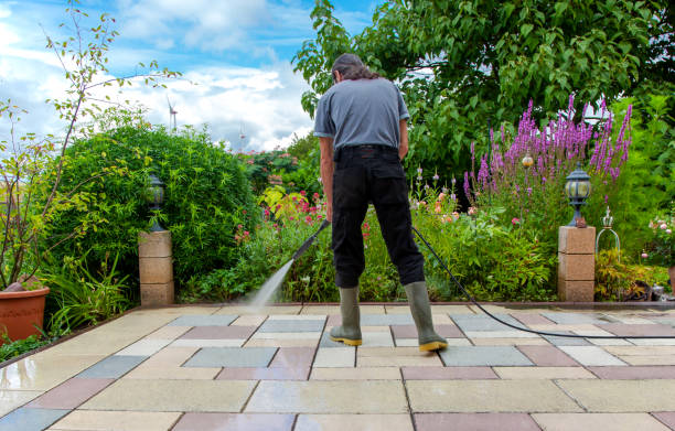 Best Driveway Pressure Washing  in Belle, WV